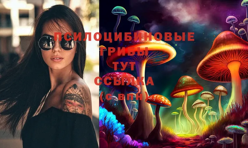 кракен зеркало  Островной  Галлюциногенные грибы Psilocybine cubensis 